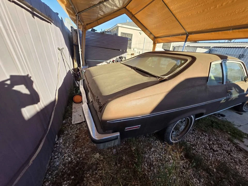 1973 Chevrolet SS - Image 14 of 14
