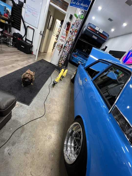 1973 Nissan 510 Bluebird - Image 27 of 31
