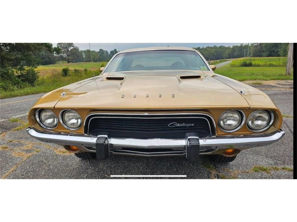 1973 Dodge Challenger 1st Gen - Image 2 of 8