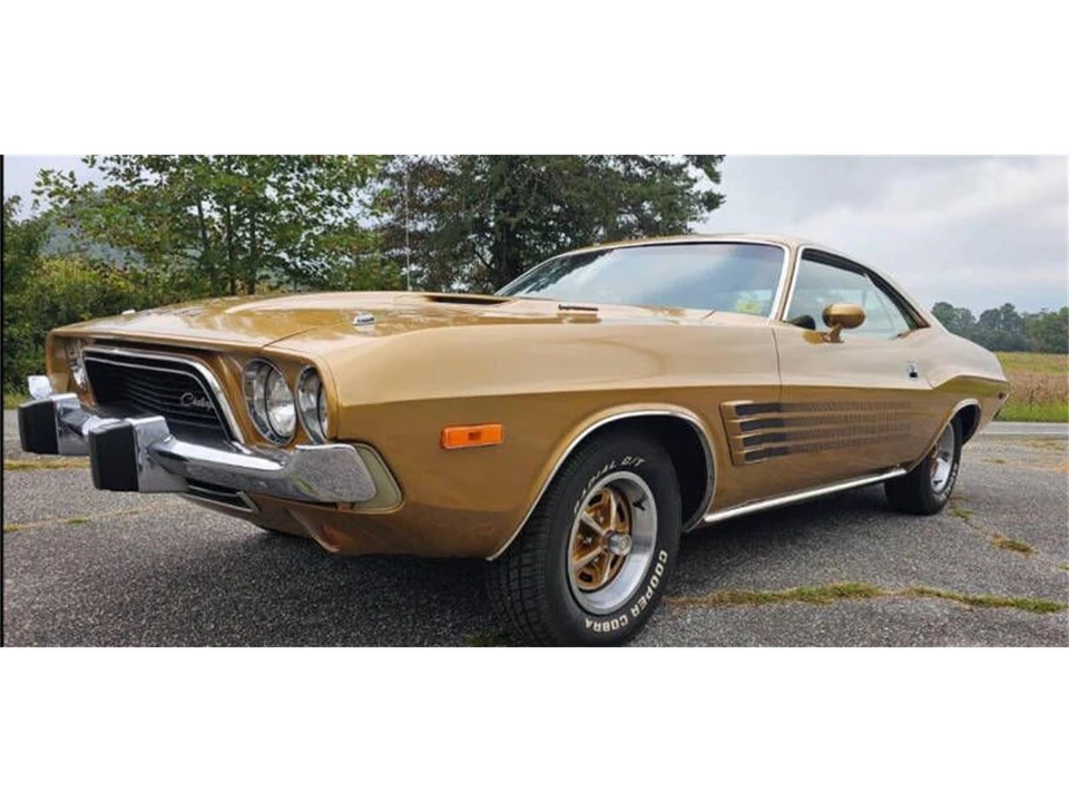 1973 Dodge Challenger 1st Gen - Image 3 of 8