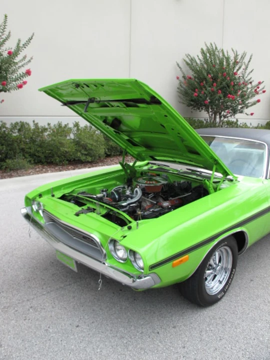 1973 Dodge Challenger 1st Gen - Image 11 of 11