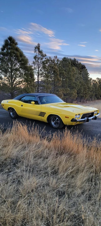1973 Dodge Challenger 1st Gen - Image 8 of 31