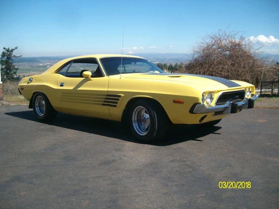 1973 Dodge Challenger 1st Gen - Image 10 of 10