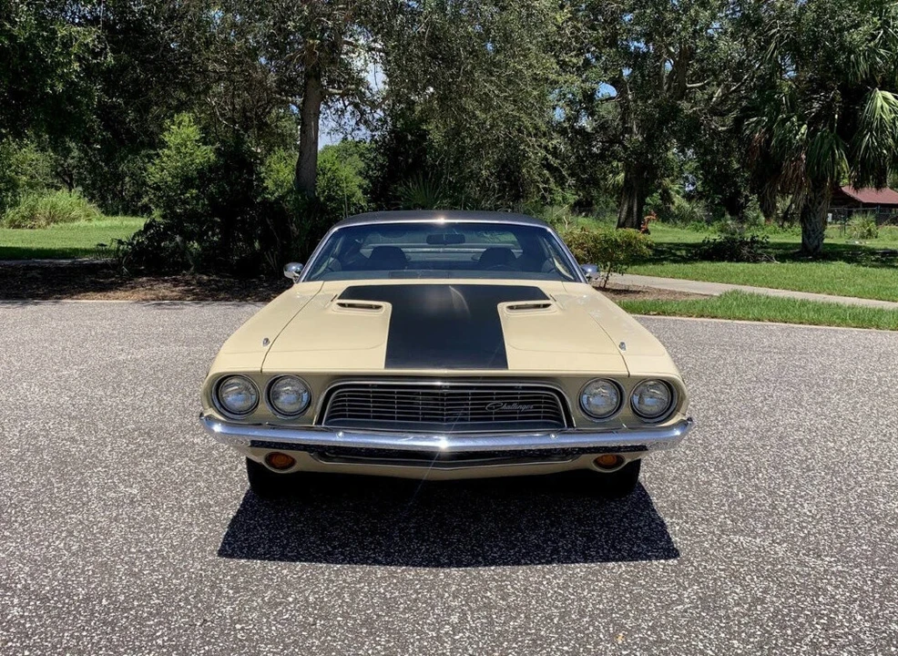 1973 Dodge Challenger 1st Gen - Image 8 of 21