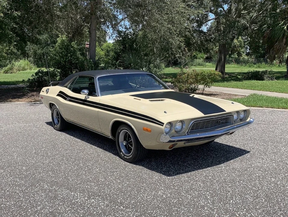 1973 Dodge Challenger 1st Gen - Image 6 of 21