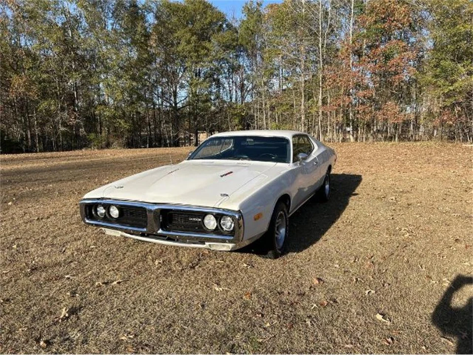 1973 Dodge Charger 3rd Gen - Image 11 of 12