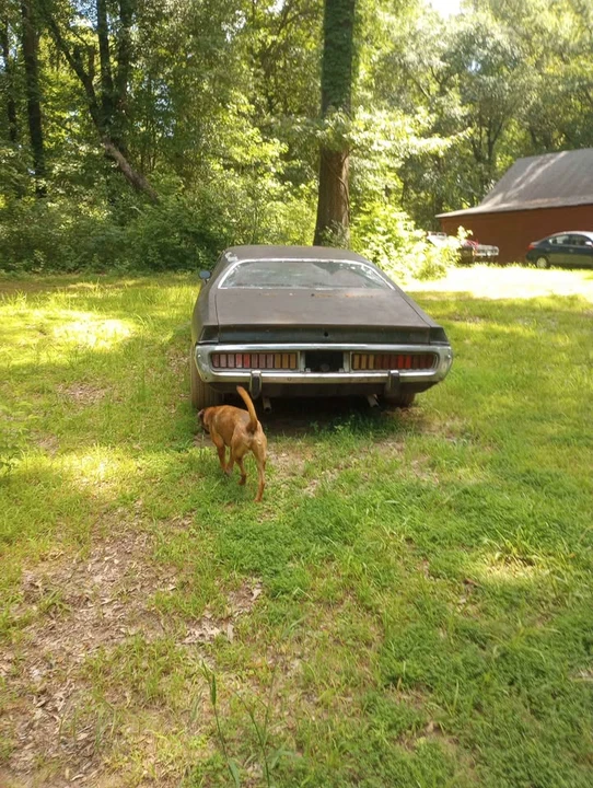 1973 Dodge Charger 3rd Gen - Image 4 of 12