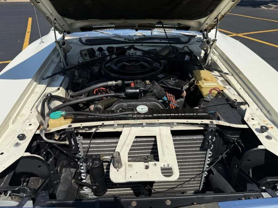 1973 Dodge Charger 2nd Gen - Image 18 of 19