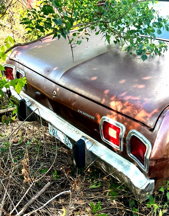 1973 Dodge Dart - Image 4 of 14