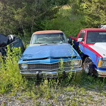 1973 Dodge Dart