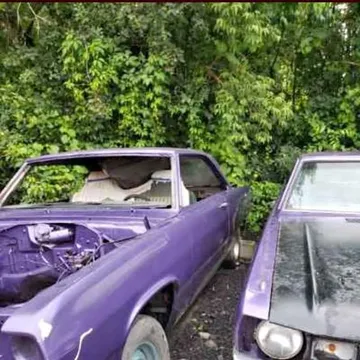 1973 Dodge Dart