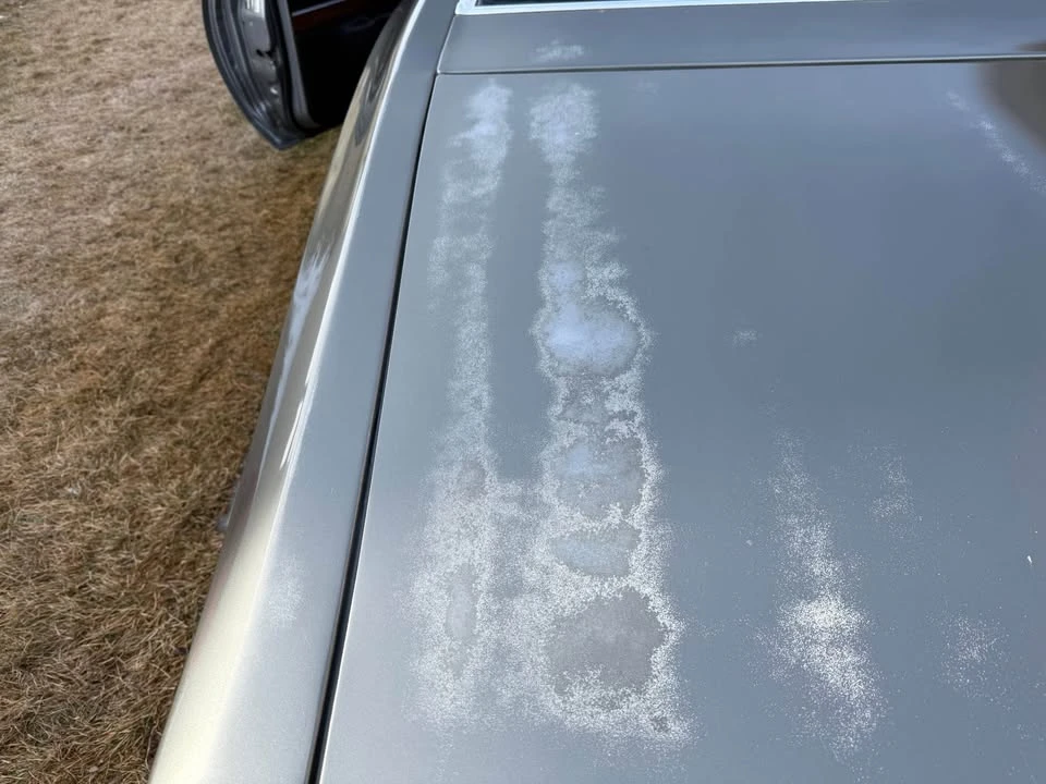 1973 Dodge Charger 3rd Gen - Image 5 of 16