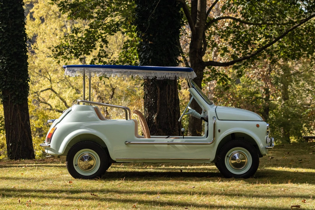 1973 Fiat 500 Jolly - Image 13 of 31