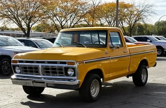 1973 Ford F-100