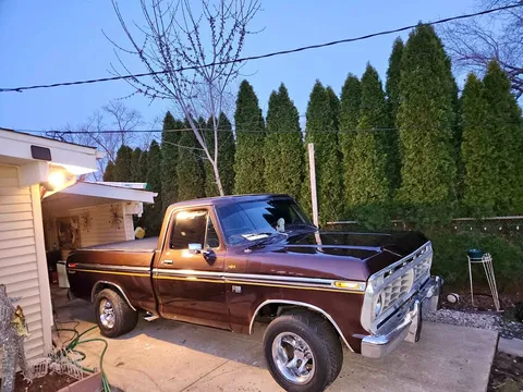 1973 Ford F100