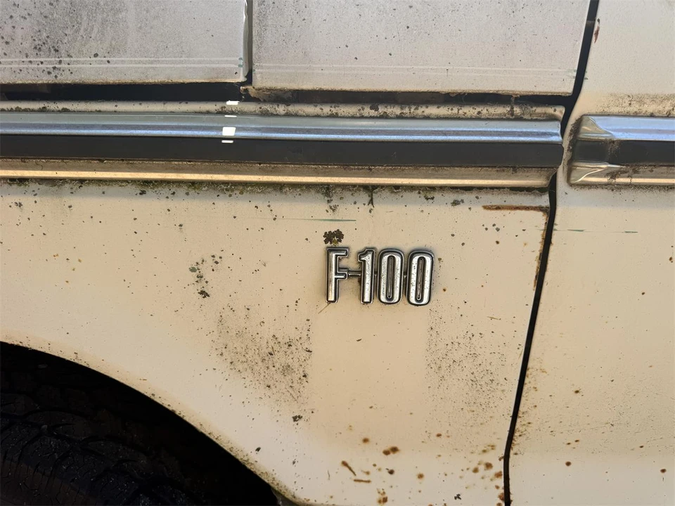 1973 Ford F-Series 6th Gen - Image 9 of 31
