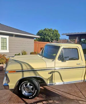 1973 Ford F100