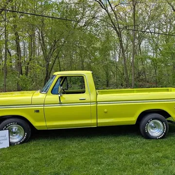 1973 Ford F100