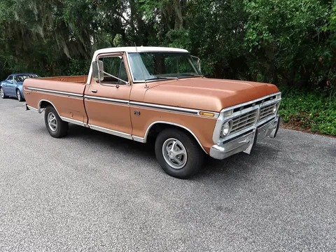 1973 Ford F100