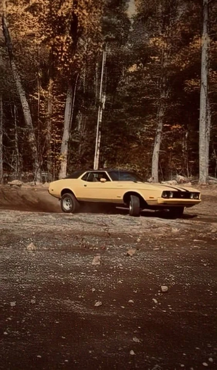 1973 Ford Mustang - Image 3 of 8