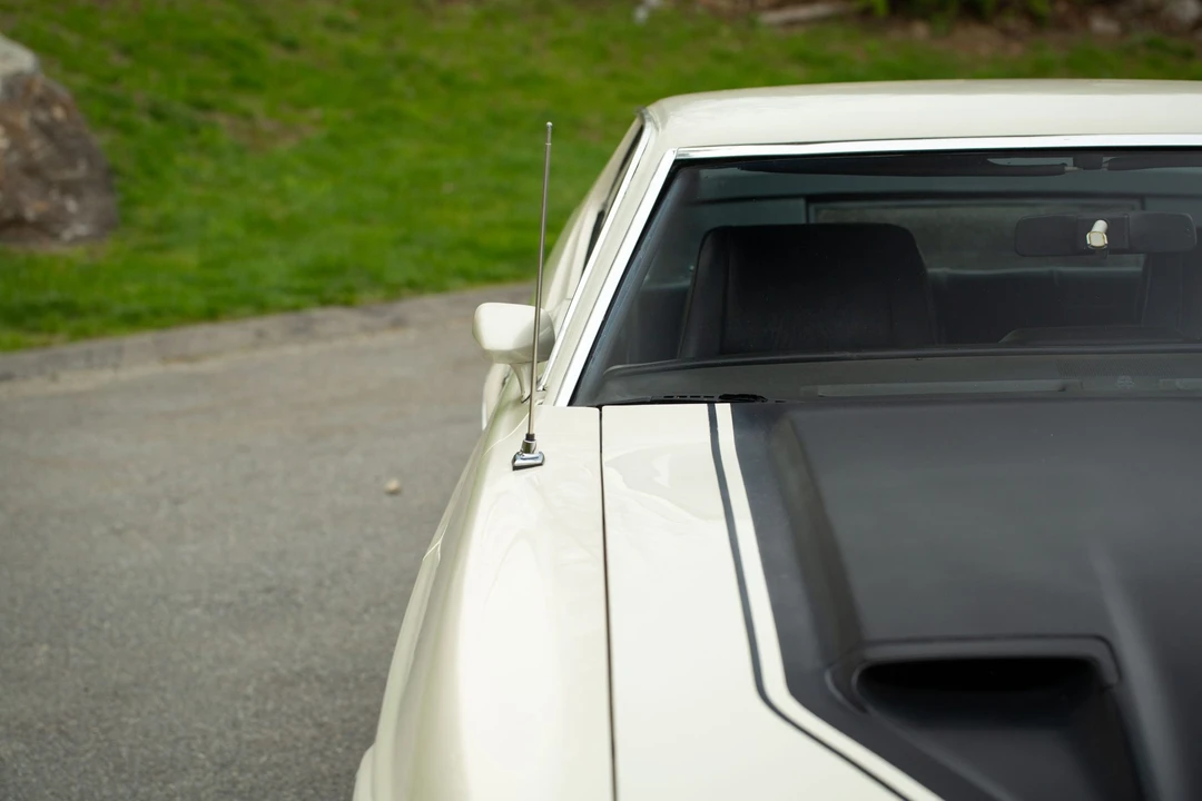 1973 Ford Mustang Mach 1 1st Gen (1971-1973) - Image 11 of 31
