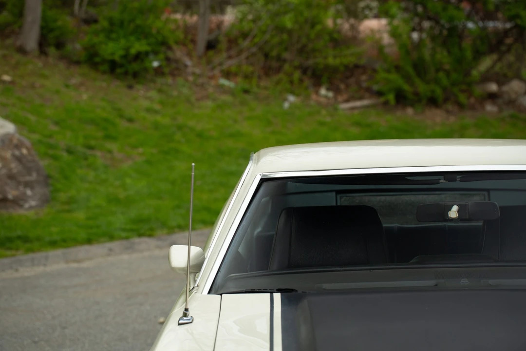 1973 Ford Mustang Mach 1 1st Gen (1971-1973) - Image 9 of 31