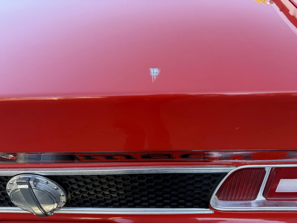 1973 Ford Mustang Mach 1 1st Gen (1971-1973) - Image 24 of 31