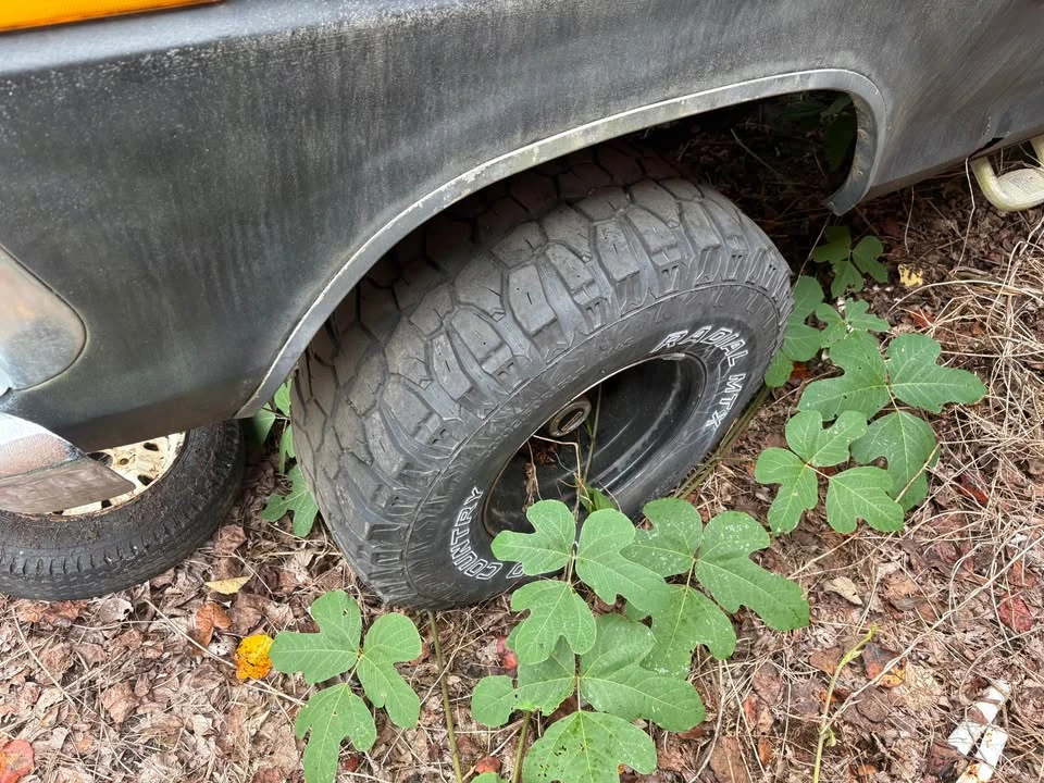 1973 Ford F-Series 6th Gen - Image 5 of 14
