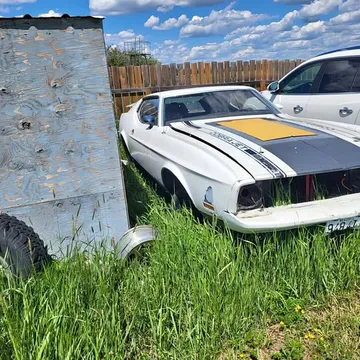 1973 Ford Mustang Mach 1