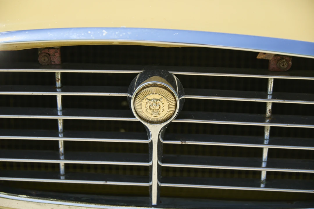 1973 Jaguar E-Type Series 3 V12 2+2 - Image 11 of 31