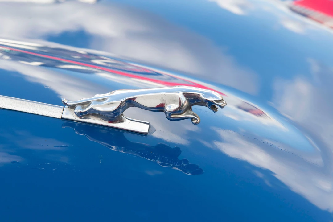 1973 Jaguar E-Type Series 3 V12 - Image 12 of 21