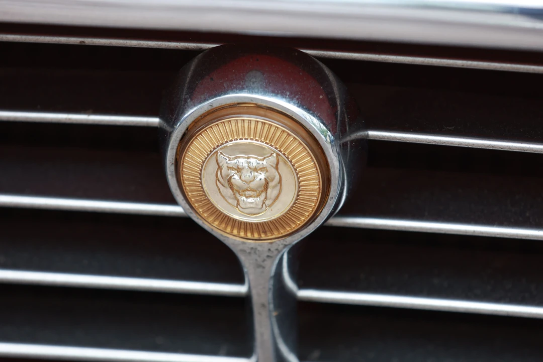 1973 Jaguar E-Type Series 3 V12 - Image 4 of 28