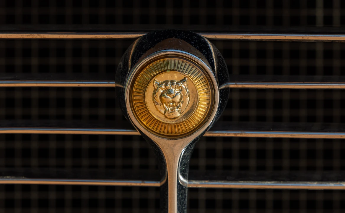 1973 Jaguar E-Type Series 3 V12 - Image 24 of 31