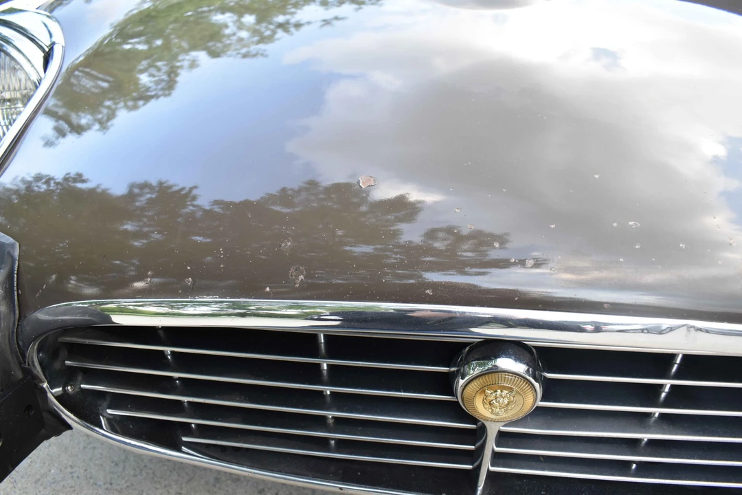 1973 Jaguar E-Type Series 3 V12 2+2 - Image 18 of 31