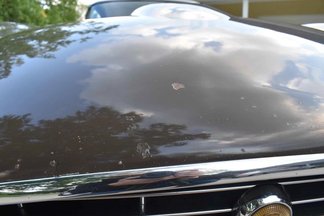 1973 Jaguar E-Type Series 3 V12 2+2 - Image 19 of 31
