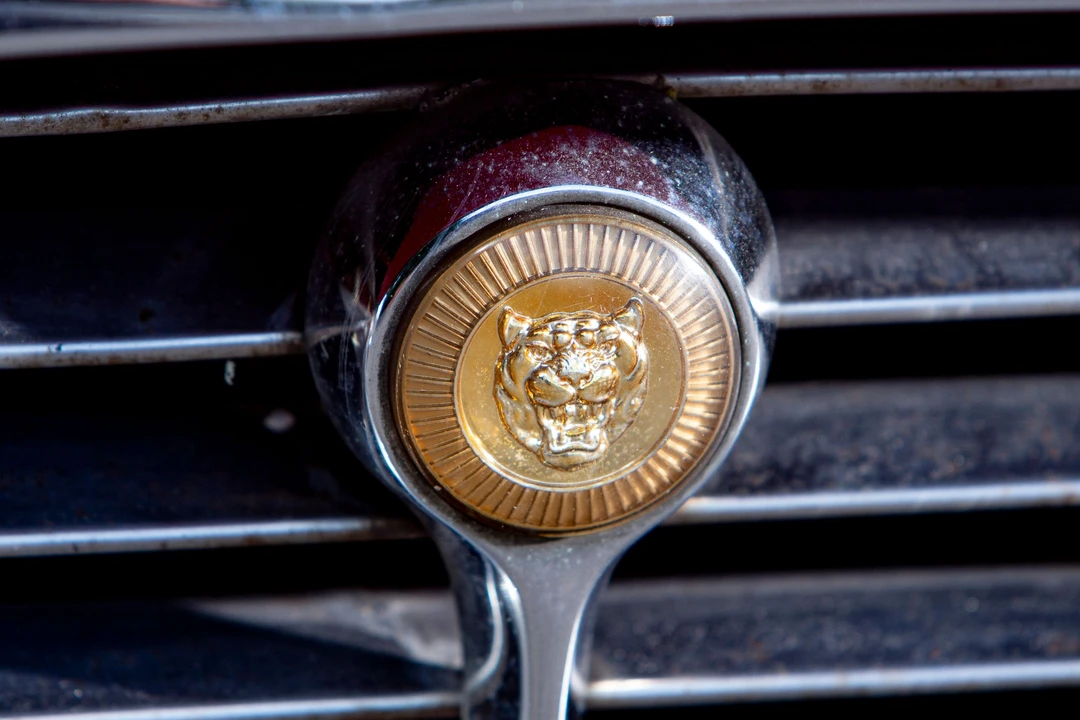 1973 Jaguar E-Type Series 3 V12 - Image 11 of 31