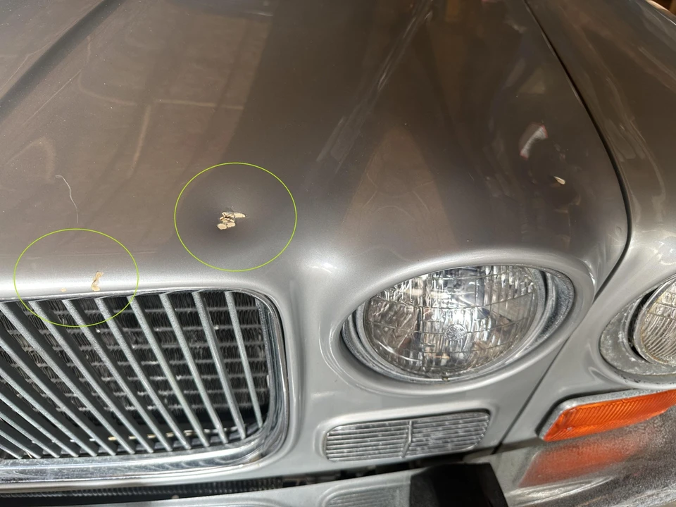 1973 Jaguar XJ Series 1 - Image 21 of 31