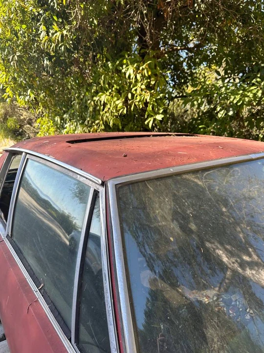 1973 Jensen Interceptor - Image 3 of 20