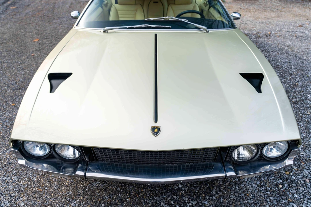 1973 Lamborghini Espada Series III - Image 23 of 31