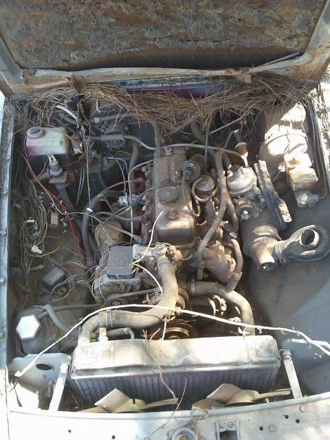 1973 Mini - Image 3 of 5