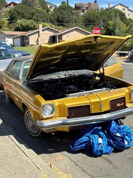 1973 Oldsmobile Cutlass