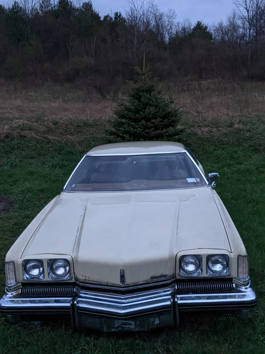 1973 Oldsmobile Toronado - Image 2 of 9