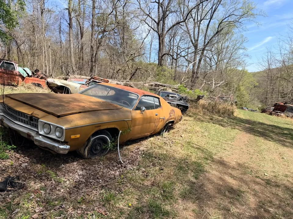 1973 Plymouth Satellite - Image 6 of 10