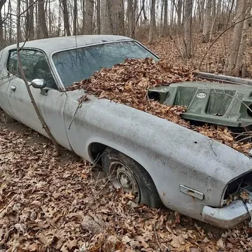1973 Plymouth Satellite