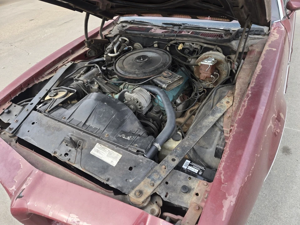 1973 Pontiac Firebird 2nd Gen - Image 21 of 21