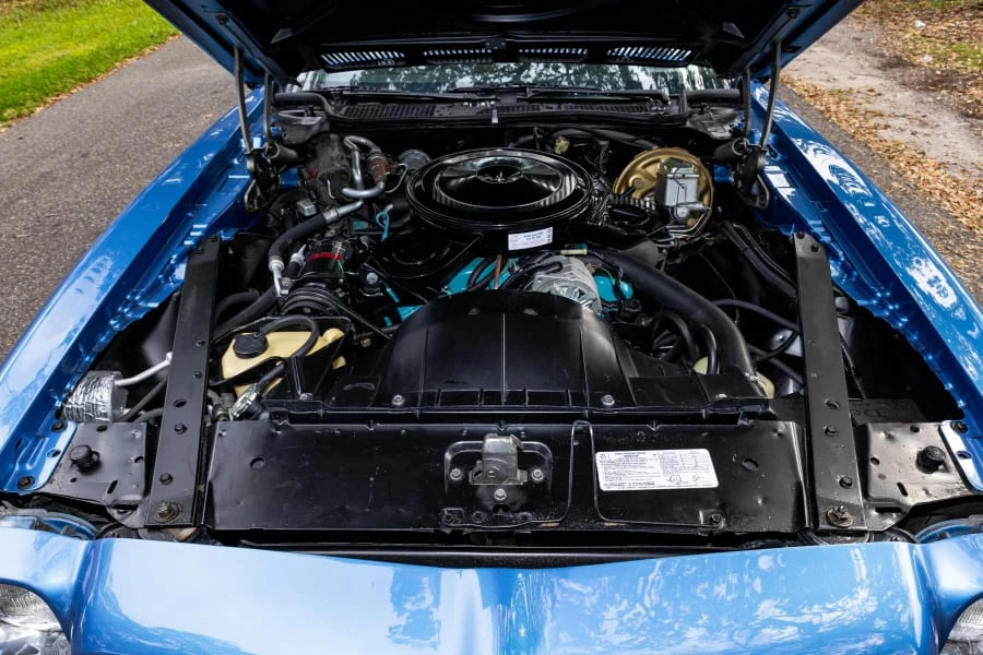 1973 Pontiac Firebird 2nd Gen - Image 10 of 31