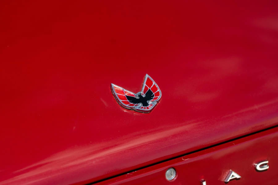 1973 Pontiac Firebird Formula 2nd Gen - Image 8 of 28