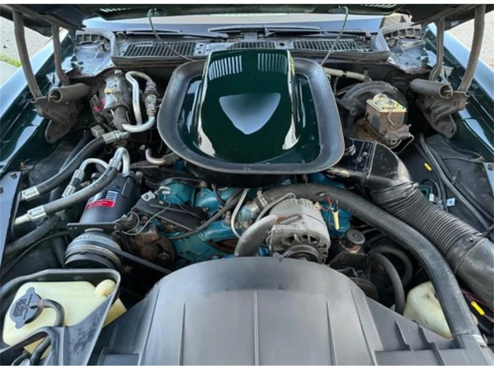 1973 Pontiac Firebird Trans Am 2nd Gen - Image 29 of 31
