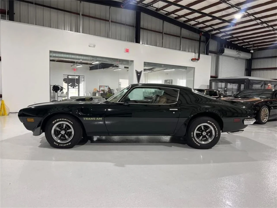 1973 Pontiac Firebird Trans Am 2nd Gen - Image 8 of 31