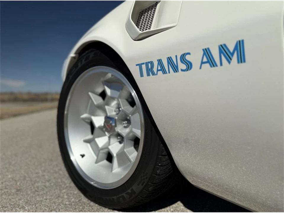 1973 Pontiac Firebird Trans Am 2nd Gen - Image 13 of 31